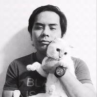 Nicolo Franco Santos