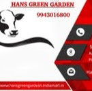 Abbas Hans