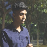 Karthik Raja P