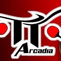 tennistavolotorino arcadia