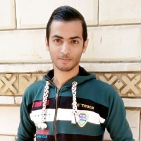 Fady Farid
