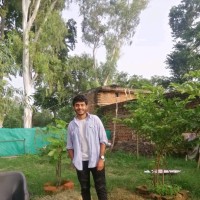 Faiz Hasan