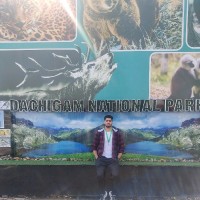 Aqib javid Bhat
