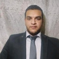ALY Moustafa