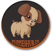 Puppies Hub