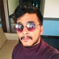 Vigneshwaran Narasimmal