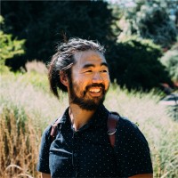 Steve Tan