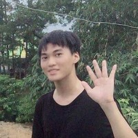 Truong Hoang Viet