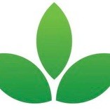 Aevum Physiotheraphy
