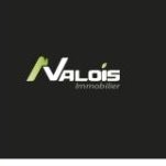 valois Immobilier nicolas