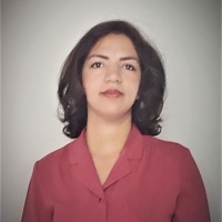 Elham Tavakouli Dinani