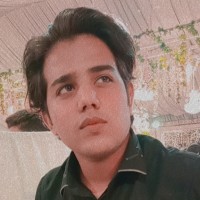hamza sultan