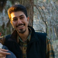 Ali Tavousi
