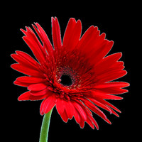 Gaëlle Gaelle.Daveu6