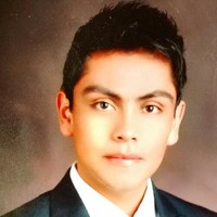 Luis Omar Palestino Sanchez