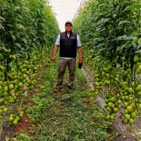 Ulises Samaniego Vite