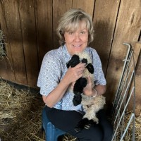 Amy Callum