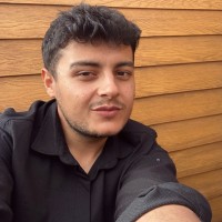 Ali Furkan Budak