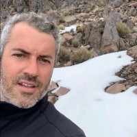 Beto Menossi