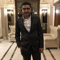 Mohsen Adel