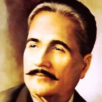 Saba Rajpoot