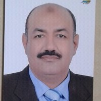 Ibrahim Amer
