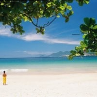 The Island Experience