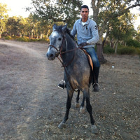 Mustapha Fahdi