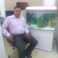 Abhimanyu Pandey
