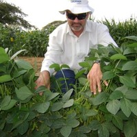 Francisco Navega