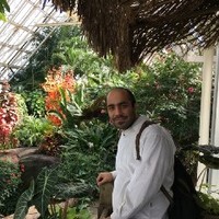 sajjad sadeghi