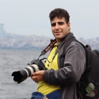 Alireza Vaghei