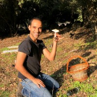 Assaf Hanuna