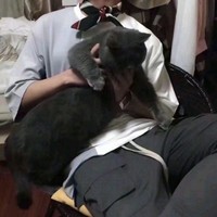 孙泽华