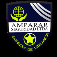 henry araujo