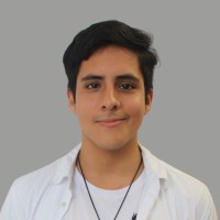 Carlos Feijoo