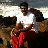 Pandiselvan P