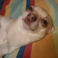 kim Hallsworth