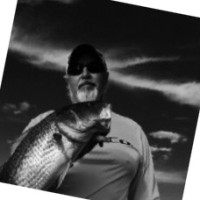 Wayne Martin