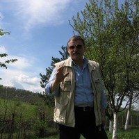Cristi Bica