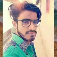 Md Raja Hussain