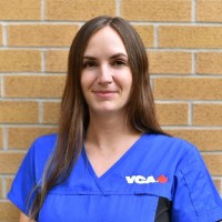 Simone Dunham Gaspar