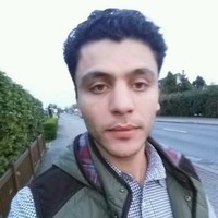 Wael Shafey
