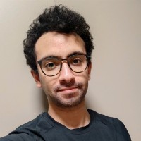 Mohamed Hosni