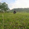 Arsyad Abdillah