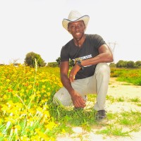 Souleymane AGNE