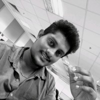 PARTHASARATHY SARAVANAN