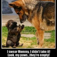 Ian Hill