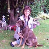 Shelley Hinson