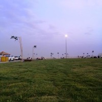 ALI ALQATLY